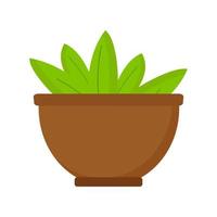Aloe plant in dark brown pot on white background. Vector isolated image for design of site about plants or clipart