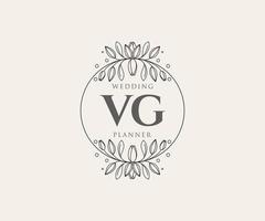 colección de logotipos de monograma de boda con letras iniciales vg, plantillas florales y minimalistas modernas dibujadas a mano para tarjetas de invitación, guardar la fecha, identidad elegante para restaurante, boutique, café en vector