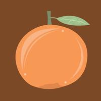 Clementine vector illustration for graphic design and decorative element