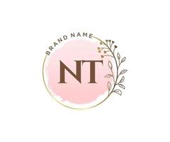 Initial NT feminine logo. Usable for Nature, Salon, Spa, Cosmetic and Beauty Logos. Flat Vector Logo Design Template Element.