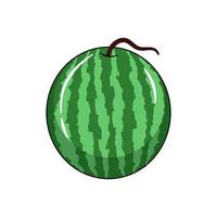 Watermelon flat fruit vector