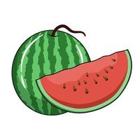 Watermelon fruit vector