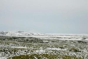 Volcanic green snowy moss landscape in Iceland 2 photo