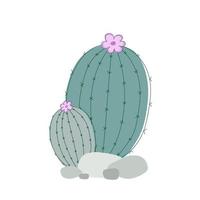 Green succulent with pink flower in gray stones on a white background. Vector cactus drawn with simple lines.