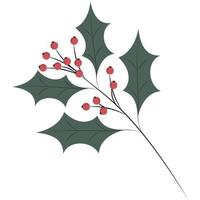 Green branch of holly on white background. Plant Christmas symbol vector