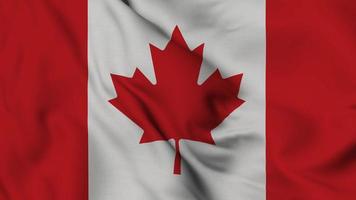 bandera de canadá bandera de canadá ondeando con textura de alta calidad en la bandera nacional de 4k. animación en bucle sin fisuras de la bandera de Canadá. video