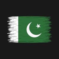 cepillo de bandera de pakistán vector