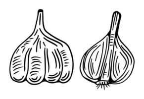 Garlic outline drawn monochrome icon set. Pile of garlic bulbs, in net bag and runchy garlic bread. Vector illustration of vegetables, farm product.