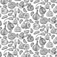 Garlic pattern wallpaper. Pattern. Garlic symbol vector. vector