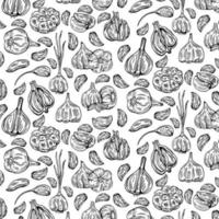 Garlic pattern wallpaper. Pattern. Garlic symbol vector. vector