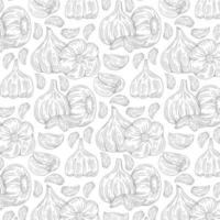 Garlic pattern wallpaper. Pattern. Garlic symbol vector. vector