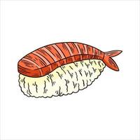 ebi sushi o camarones en arroz ilustración dibujada a mano vector