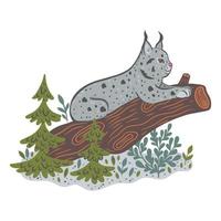 Cute forest lynx isolated on white background. Vector graphics.