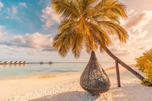 Relax vacation leisure lifestyle on exotic tropical island beach, palm tree hammock hanging calm sea. Paradise beach landscape, water villas, sunrise sky clouds amazing reflections. Beautiful nature photo