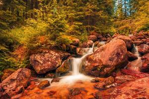 Autumn creek woodland with sunny yellow trees foliage rocks in forest mountain. Idyllic travel hiking landscape, beautiful seasonal autumn nature. Amazing dream scenic colorful outdoor inspire nature photo