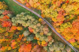 Aerial view of forest and road in autumn with colorful trees. Drone photography. Amazing nature landscape dreamy top aerial view. Mountain forest natural vivid colors. Aerial colorful fall foliage photo