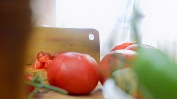 chashushuli tradizionale georgiano cibo. cibo preparato a partire dal manzo. chashushuli ricetta. il Manzo è così tenero video