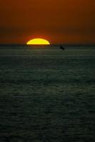 Sunset scene by the ocean photo