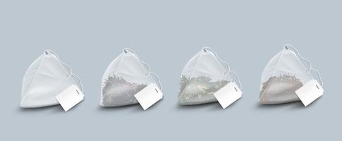 Pyramid shape tea bags with leaves and herbs vector