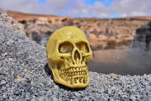 Skull on gravel photo