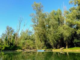 Green lake view photo