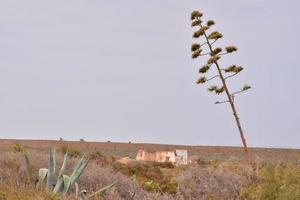 Arid landscape view photo