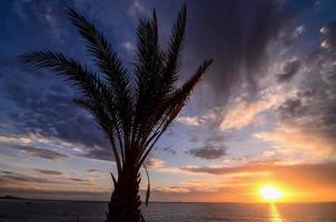 Sunset over the ocean photo