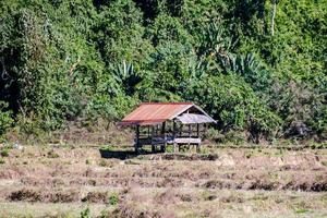 Rural landscape in East Asia photo