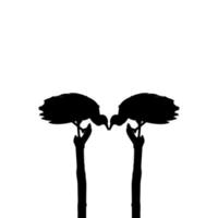 Silhouette of the Black Vulture Bird, Based on my Photography as Image Reference, Location in Nickerie, Suriname, South America. Vector Illustration