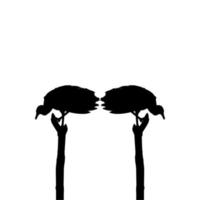 Silhouette of the Black Vulture Bird, Based on my Photography as Image Reference, Location in Nickerie, Suriname, South America. Vector Illustration
