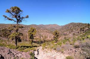 Rocky landscape on the Canary Islands photo