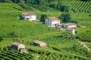 Landscape at Rome in Italy photo