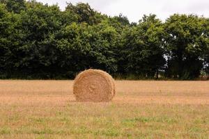 Hay bale view photo