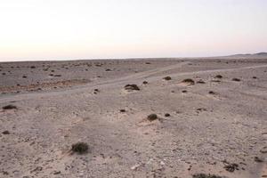 vista del paisaje del desierto foto