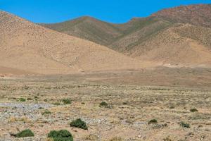 paisaje de dunas del desierto
