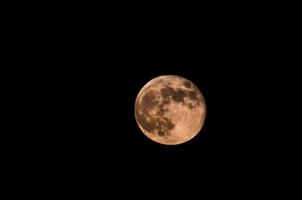 moon close-up photo