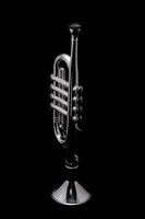 Silver metal saxophone photo