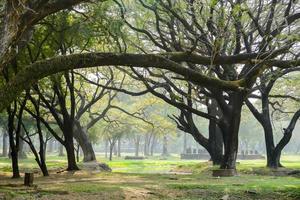 Rural landscape in East Asia photo