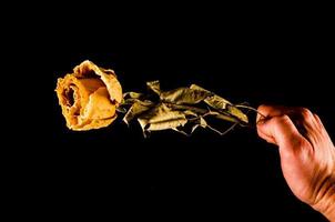 Holding a yellow rose photo