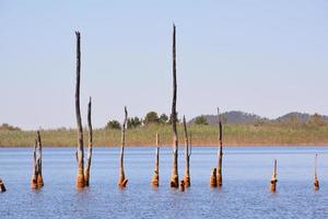 Lake landscape view photo