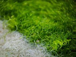 macro texture of green and white home carpet fabric, suitable for wallpaper background. photo