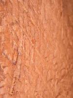 brown wood texture macro, suitable for wallpaper background. photo