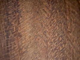 macro de textura de madera marrón, adecuada para fondo de papel tapiz. foto