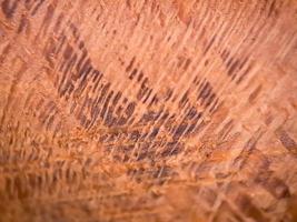 macro de textura de madera marrón, adecuada para fondo de papel tapiz. foto