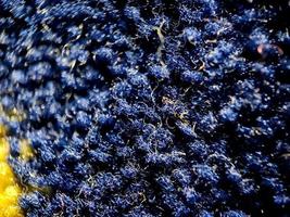 the texture of the prayer rug in dark blue and gold. suitable for wallpaper background. photo