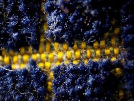 the texture of the prayer rug in dark blue and gold. suitable for wallpaper background. photo