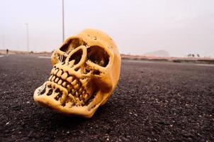 Skull miniature on the ground photo