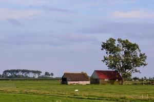 Barn in field photo