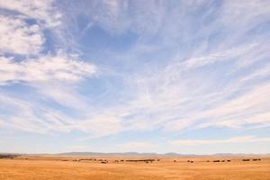 Desert landscape view photo