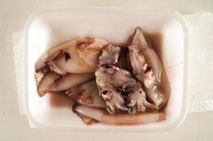 Raw squid in a container photo